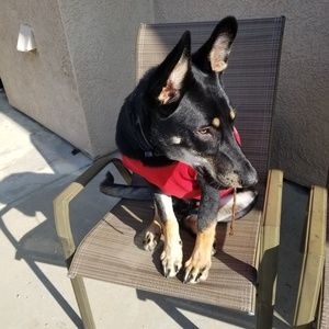 Meet your Posher, Sahar